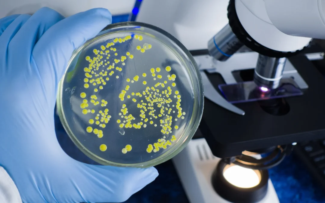 Waarom antimicrobiele coatings er toe doen