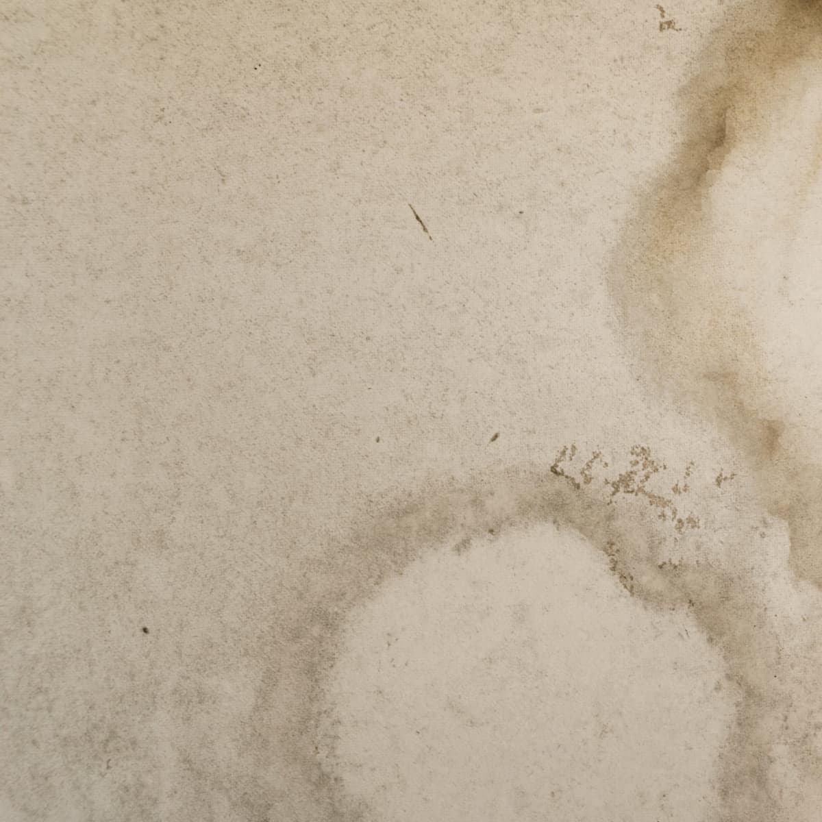 schimmel in kringen op de muur