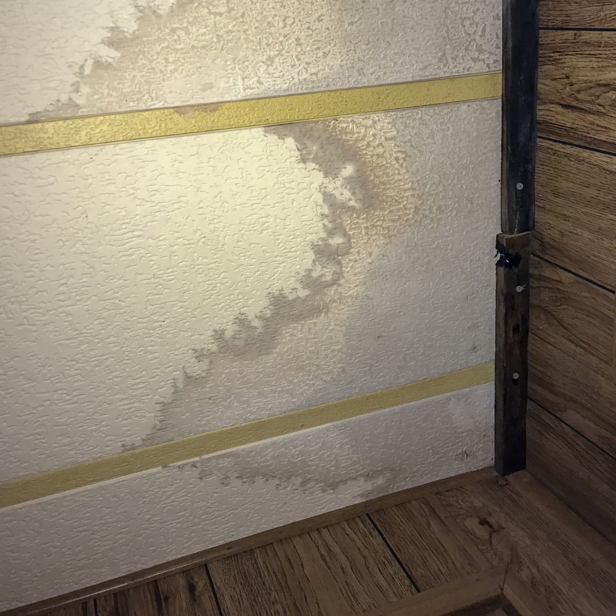 Zwarte schimmel op plafond in badkamer