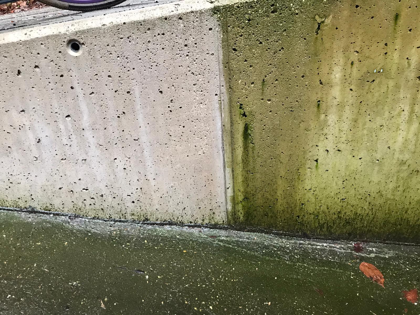 Test & Trust proefvlak op een betonnen gevel met groene aanslag