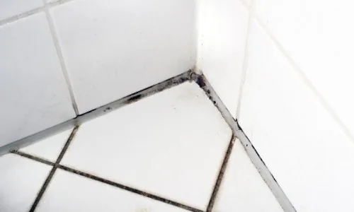 Mould-resistant paint in the bathroom