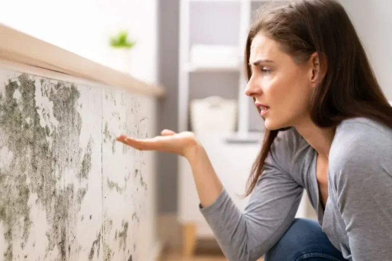 Choosing a microbe-resistant coating