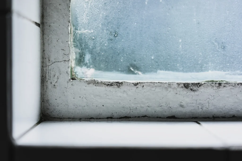 How mould develops in the home