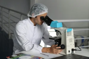 Mould testing methods compared