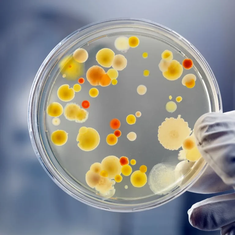 Antibioticaresistentie als stille pandemie