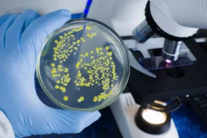 Microbe-resistant coating