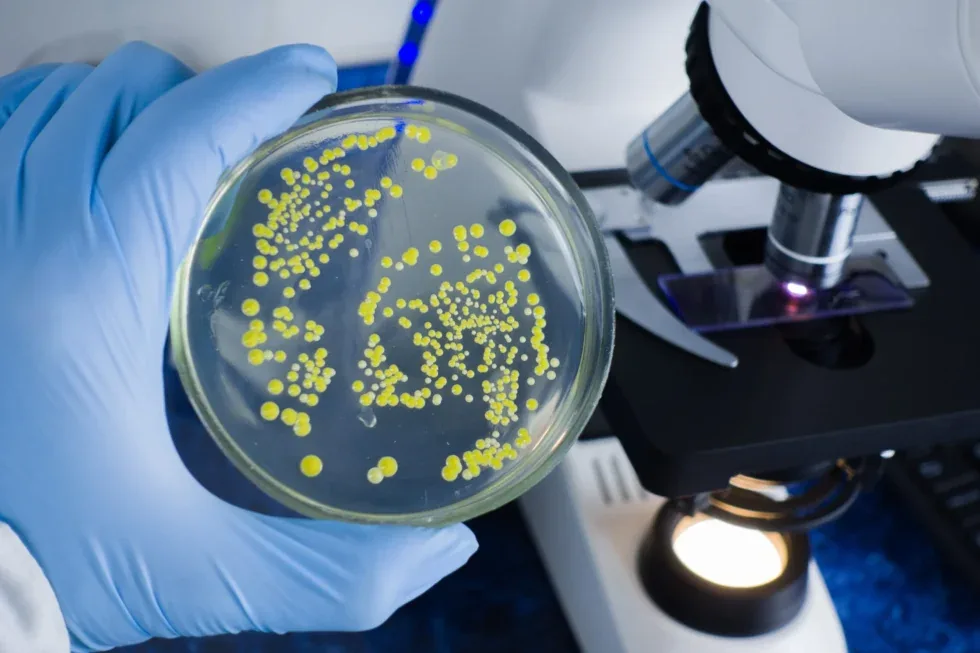 Microbe-resistant coating